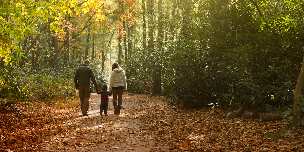 Creating a will is a vital step in ensuring that your assets are distributed according to your wishes. While many people opt for DIY wills to save on costs, this approach can lead to significant mistakes that may complicate or invalidate your will. Here, we highlight ten common mistakes found in DIY wills and explain how a solicitor, like us at Vyman Solicitors, can help you avoid them.